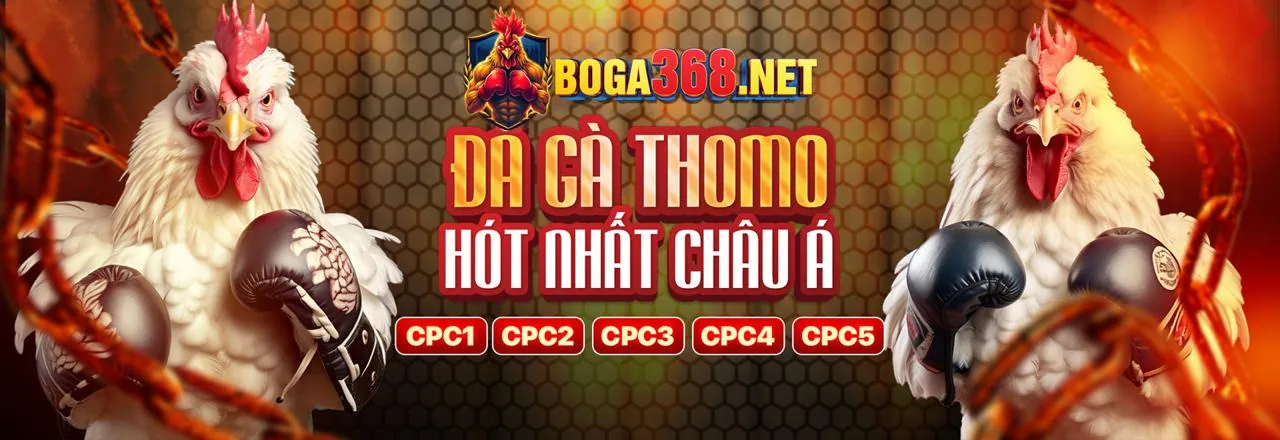 Tổng quan các môn thể thao và lựa chọn cá cược đa dạng tại gowin link vào